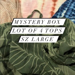 Mystery box lot of 4 tops sz L some new